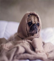 三门峡有这样的手机号码，留不住钱，你中枪了吗？