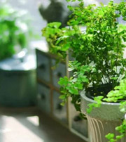 三门峡专属于你的开运指南，助你鸿运当头福满身！