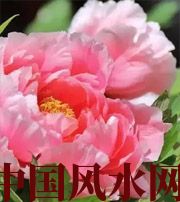 三门峡预示你财运上升，姻缘可成的梦境，快来看看吧！