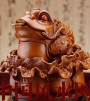 三门峡解读金蟾最合适的位置，这样摆放更招财！