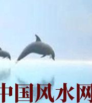 三门峡做梦梦到这些，是要富裕的征兆！